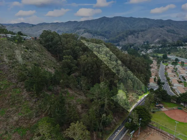 an aerial view of forest