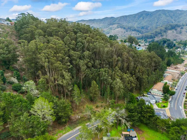 an aerial view of a houses with a lush green hillside