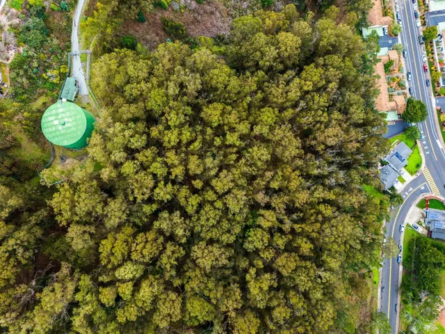 a view of a street with a plant