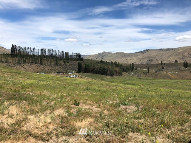 200 Howard Flats Road Chelan, WA 98816 - Photo 4 of 18 Gallery Image 4