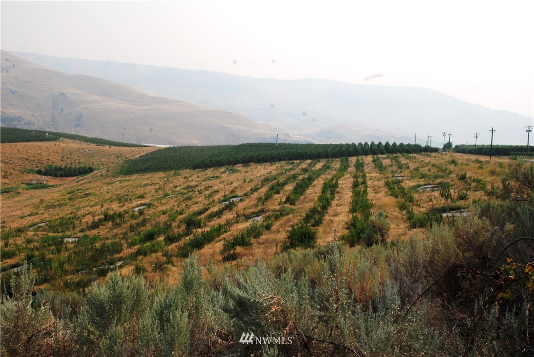 200 Howard Flats Road Chelan, WA 98816 - Photo 10 of 18 Gallery Image 10