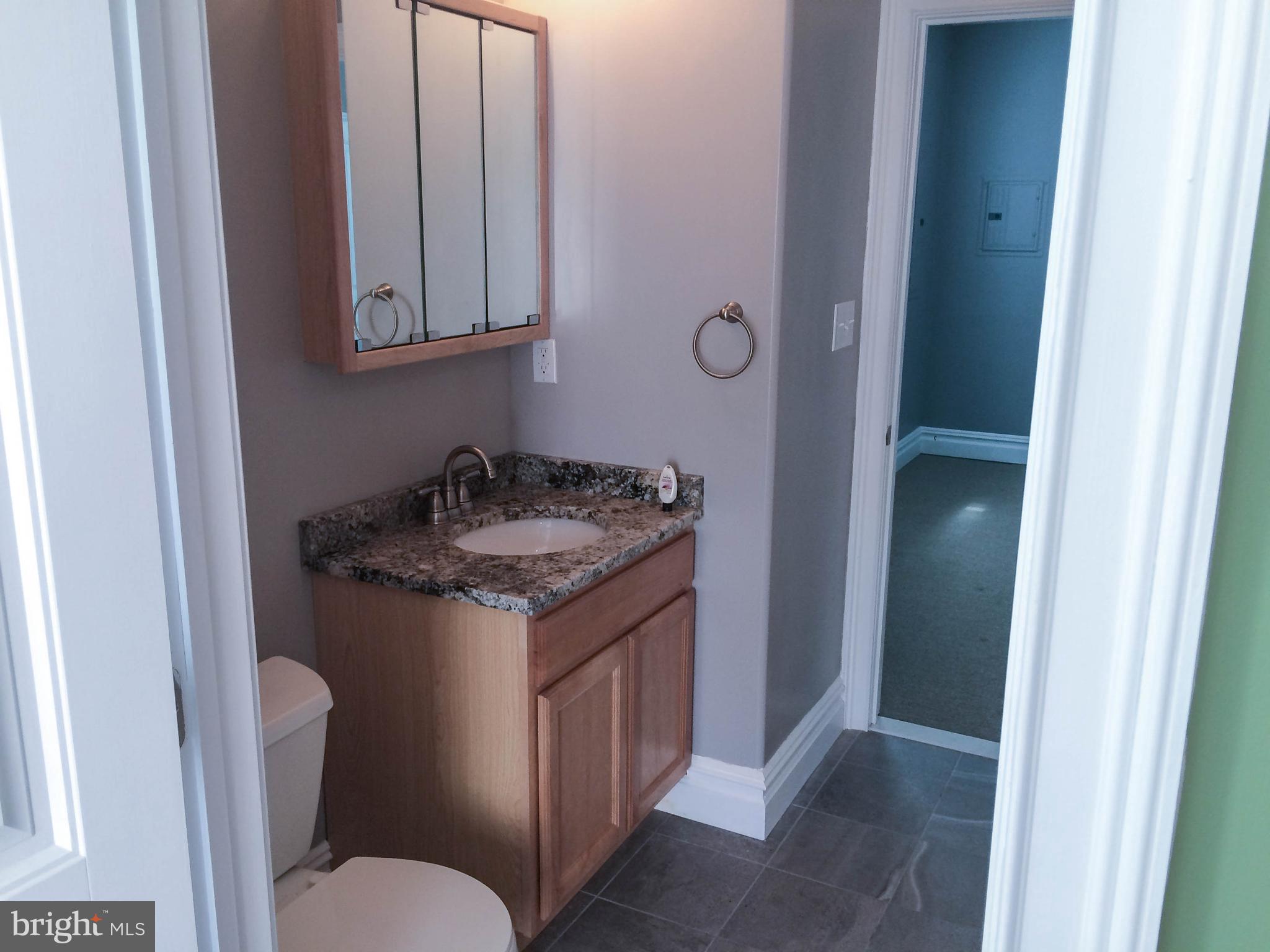 2050 Old Gulph Road Villanova, PA 19085 - Photo 22 of 24 lower level bathroom