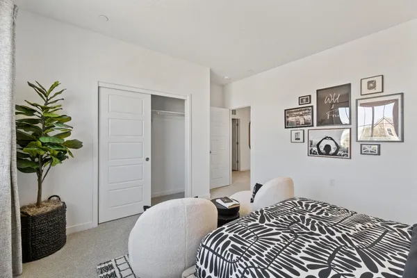 a bedroom with a large bed and a potted plant