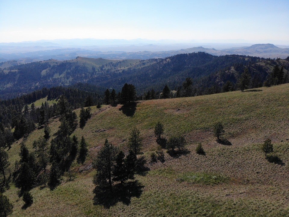 Tbd Outer Loop Road Cascade, MT 59421 - Photo 15 of 20 Gallery Image 15