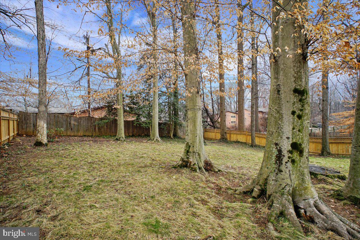 10113 Cardinal Road Fairfax, VA 22030 - Photo 53 of 59