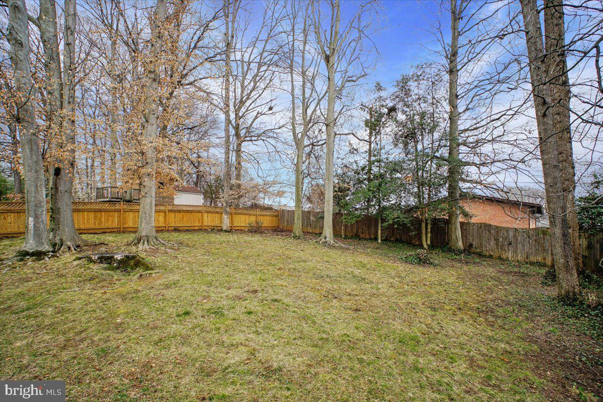 10113 Cardinal Road Fairfax, VA 22030 - Photo 54 of 59 a backyard of a house with lots of green space