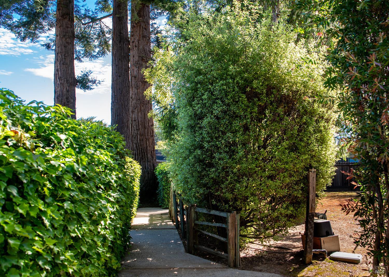 7949 Tocchini Street Sebastopol, CA 95472 - Photo 15 of 34 The backyard does not end here! Walk down the path to a large open area ready for your raised beds, playground for the kiddos or just a special area to cozy up and read a book.