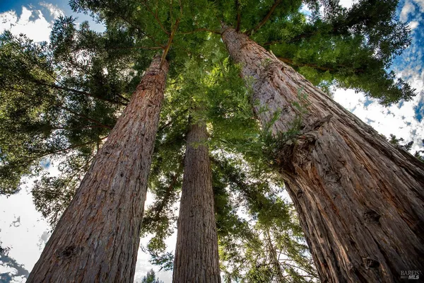 $987,317 | 7949 Tocchini Street, Sebastopol, CA 95472