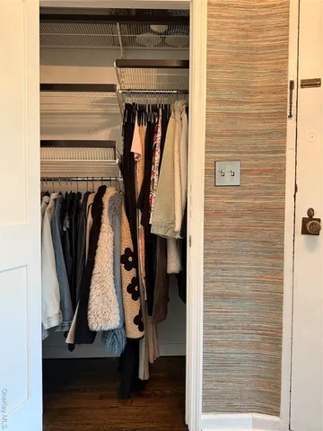 a view of walk in closet with clothes and white walls