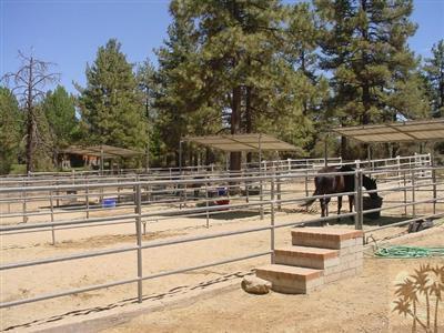 61245 Devils Ladder Road Mountain Center, CA 92561 - Photo 11 of 30 Additional Photo
