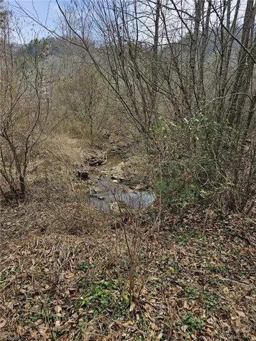 $858,018 | 0 Elk Creek Darby Road, Lenoir, NC 28645