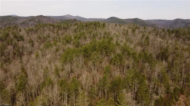 $858,018 | 0 Elk Creek Darby Road, Lenoir, NC 28645