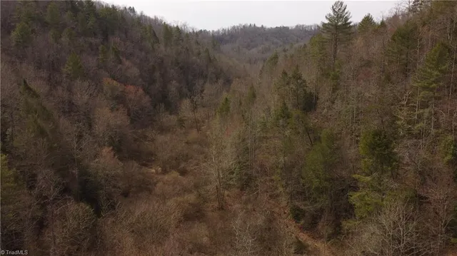 $858,018 | 0 Elk Creek Darby Road, Lenoir, NC 28645