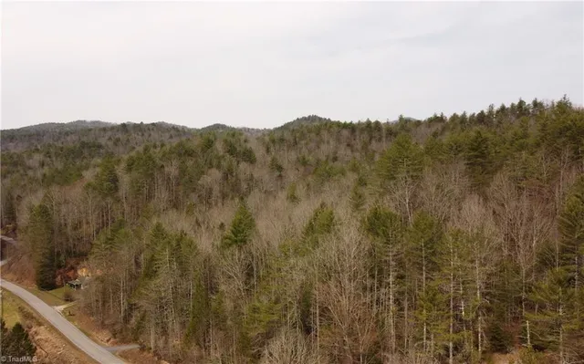 $858,018 | 0 Elk Creek Darby Road, Lenoir, NC 28645