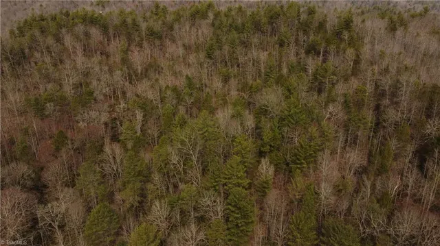 $858,018 | 0 Elk Creek Darby Road, Lenoir, NC 28645