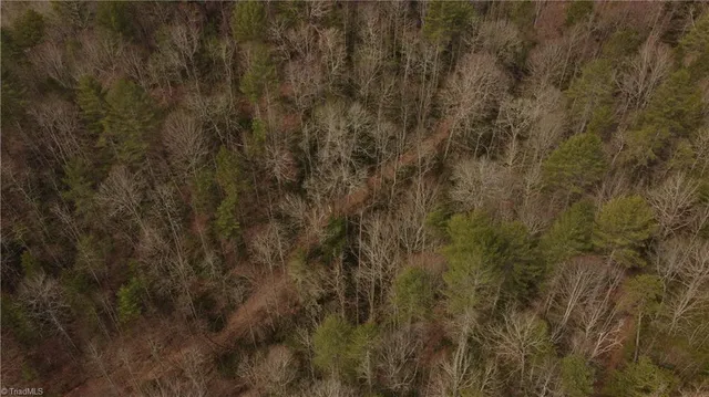 $858,018 | 0 Elk Creek Darby Road, Lenoir, NC 28645