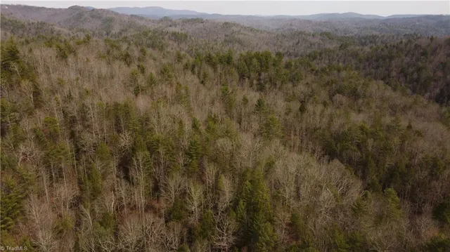 $858,018 | 0 Elk Creek Darby Road, Lenoir, NC 28645