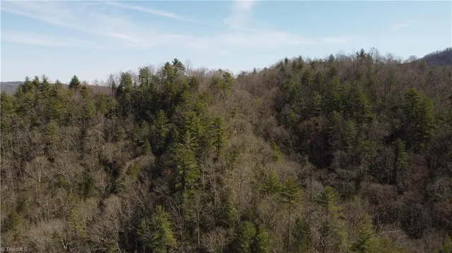 $858,018 | 0 Elk Creek Darby Road, Lenoir, NC 28645