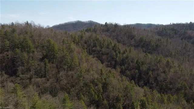 $858,018 | 0 Elk Creek Darby Road, Lenoir, NC 28645