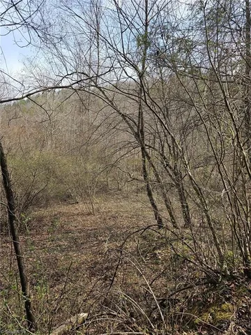 $858,018 | 0 Elk Creek Darby Road, Lenoir, NC 28645