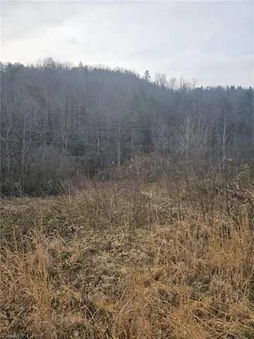 $858,018 | 0 Elk Creek Darby Road, Lenoir, NC 28645