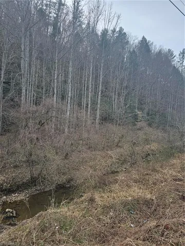 $858,018 | 0 Elk Creek Darby Road, Lenoir, NC 28645