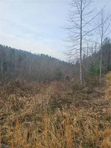 $858,018 | 0 Elk Creek Darby Road, Lenoir, NC 28645