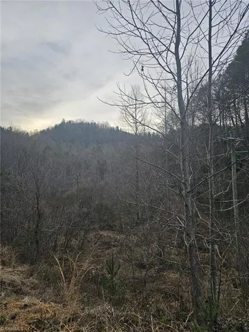 $858,018 | 0 Elk Creek Darby Road, Lenoir, NC 28645