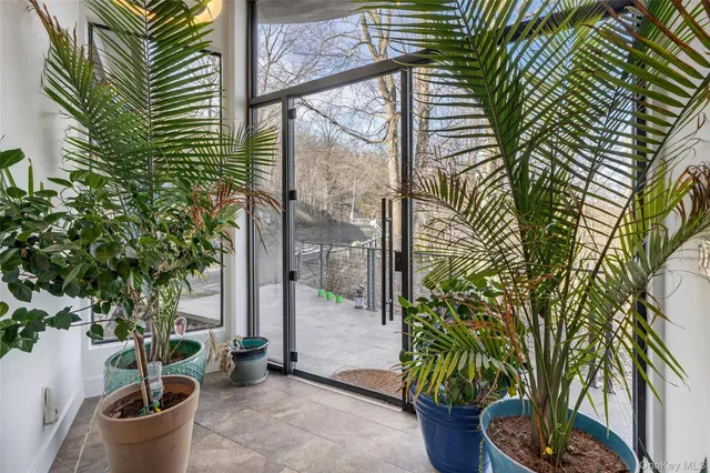 a potted plant sitting in front of a glass door