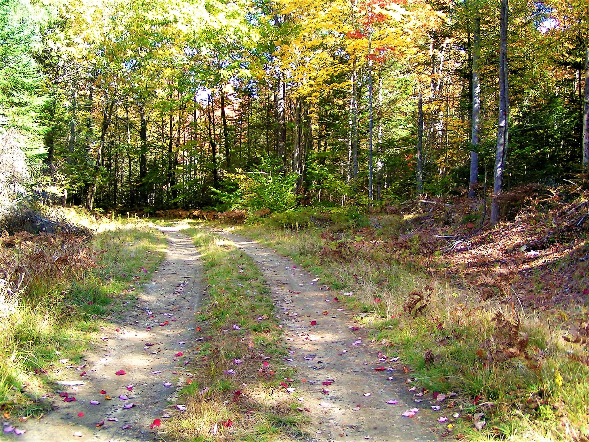 0 Buckfield Road South Paris, ME 04281 - Photo 9 of 11 PICT0039