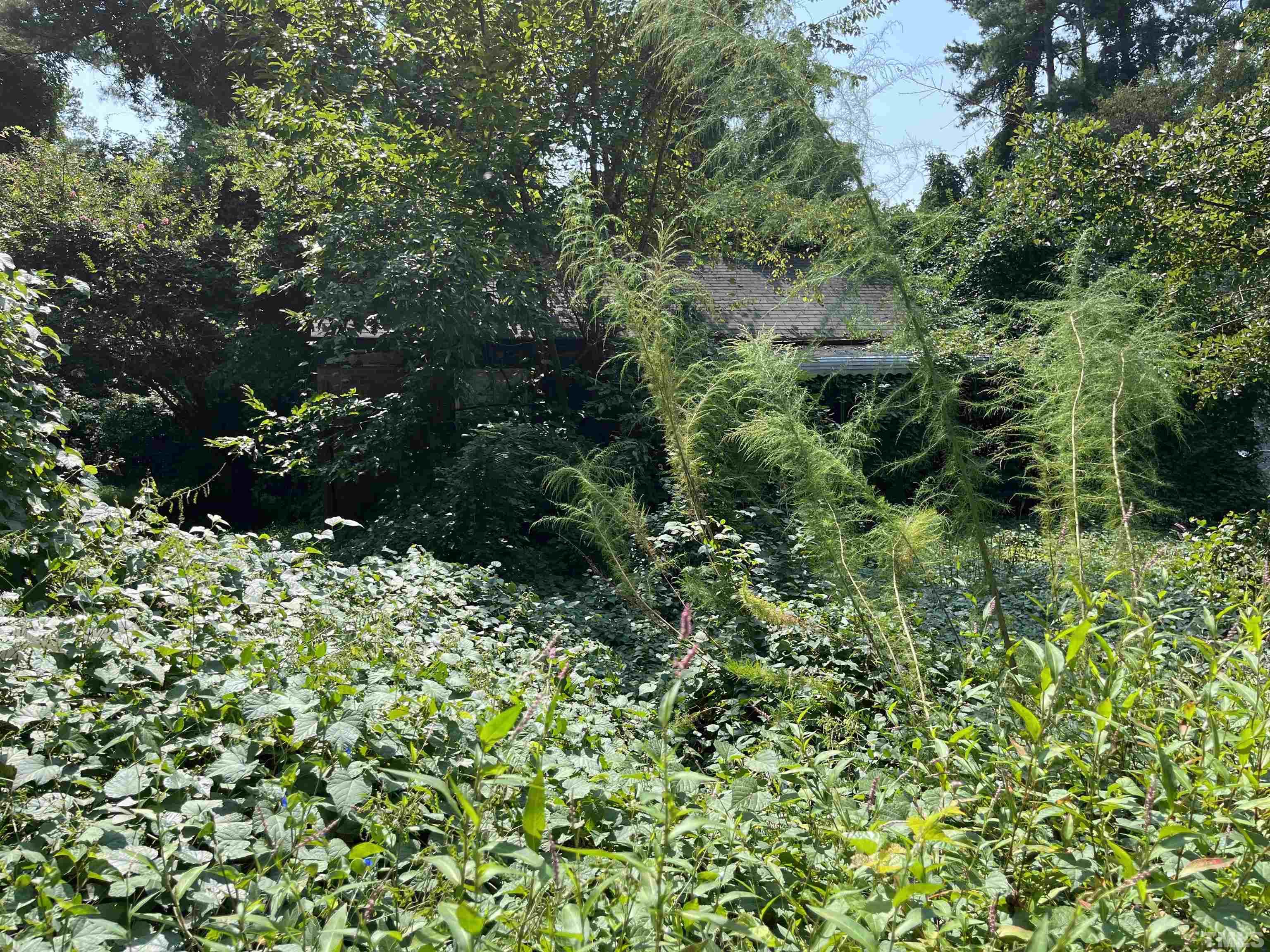 1716 Dallas Street Raleigh, NC 27610 - Photo 2 of 5