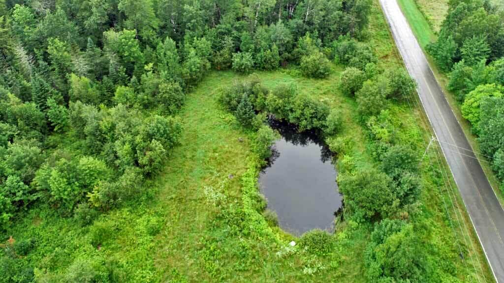 1215 Springfield Road Danforth, ME 04424 - Photo 16 of 31 pond-danforth-me-land