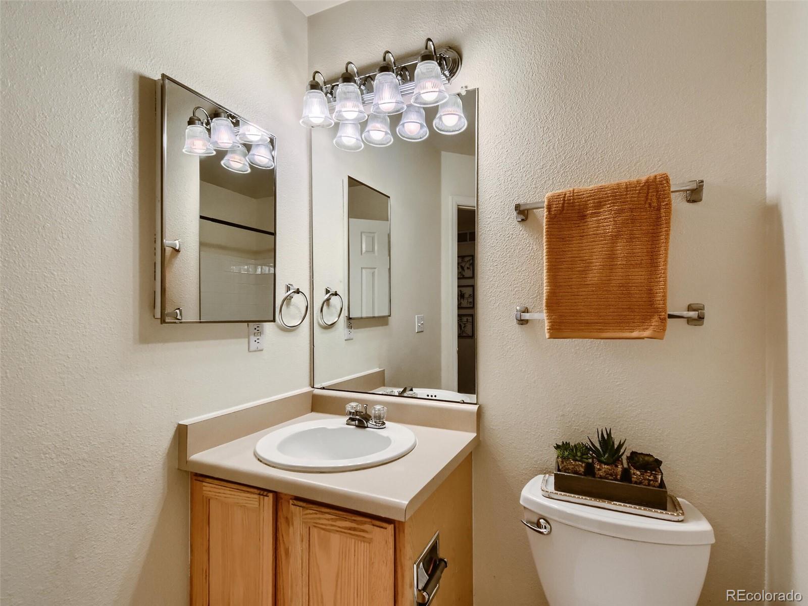9704 South Castle Ridge Circle Highlands Ranch, CO 80129 - Photo 20 of 28