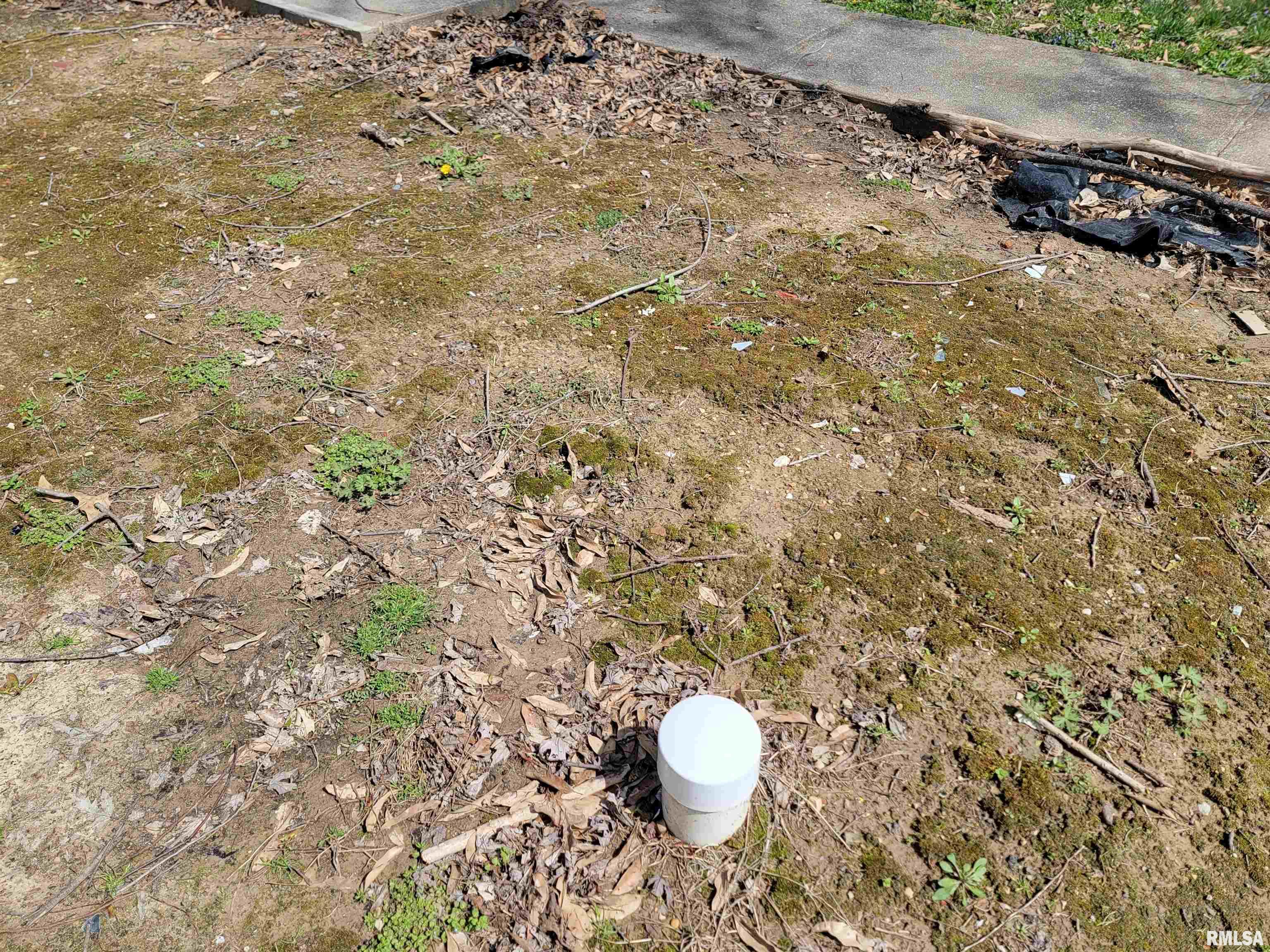 602 West 3rd Street Flora, IL 62839 - Photo 5 of 9