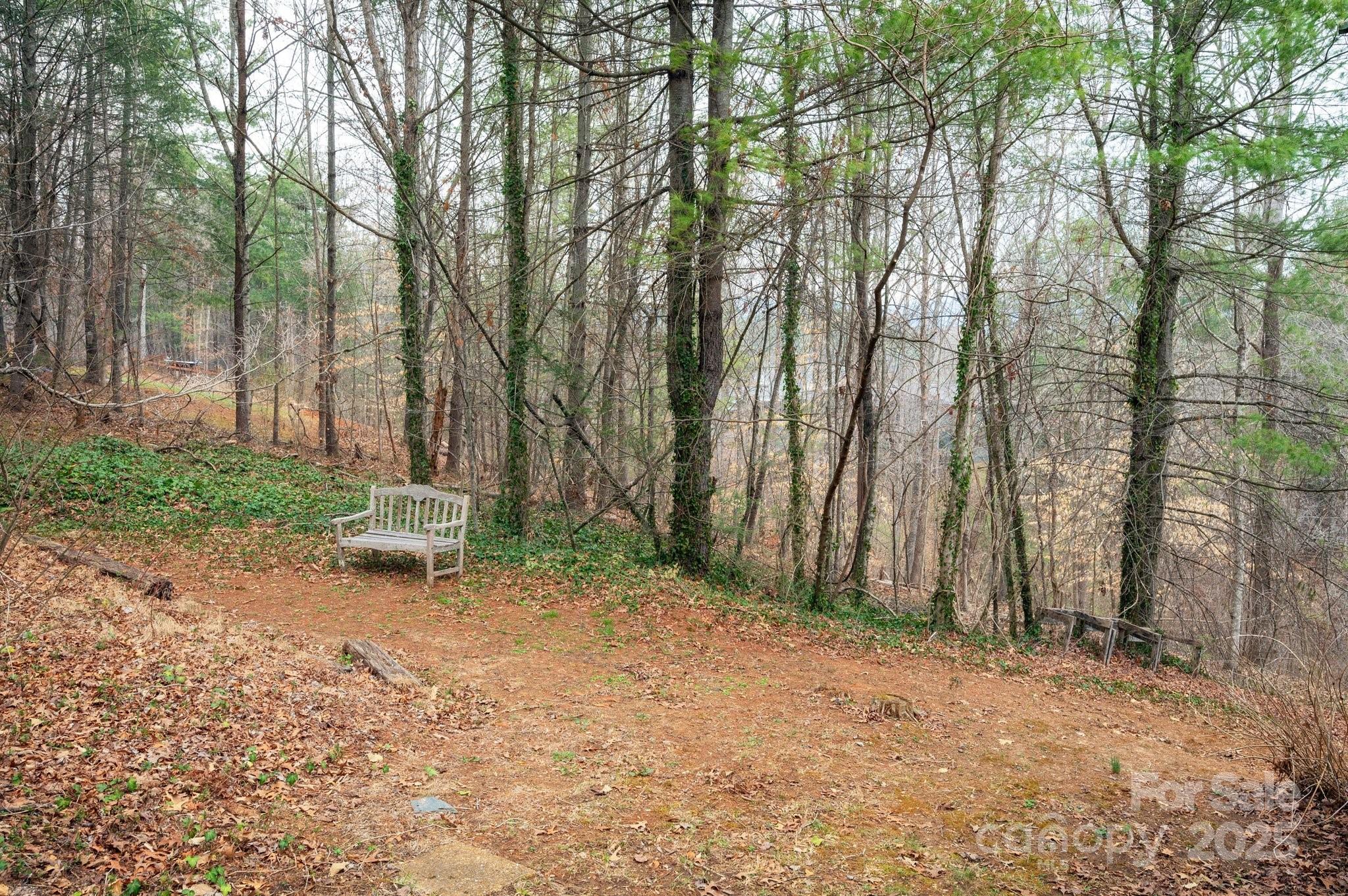 148 Pinecrest Drive Alexander, NC 28701 - Photo 30 of 31 a view of a backyard with large trees