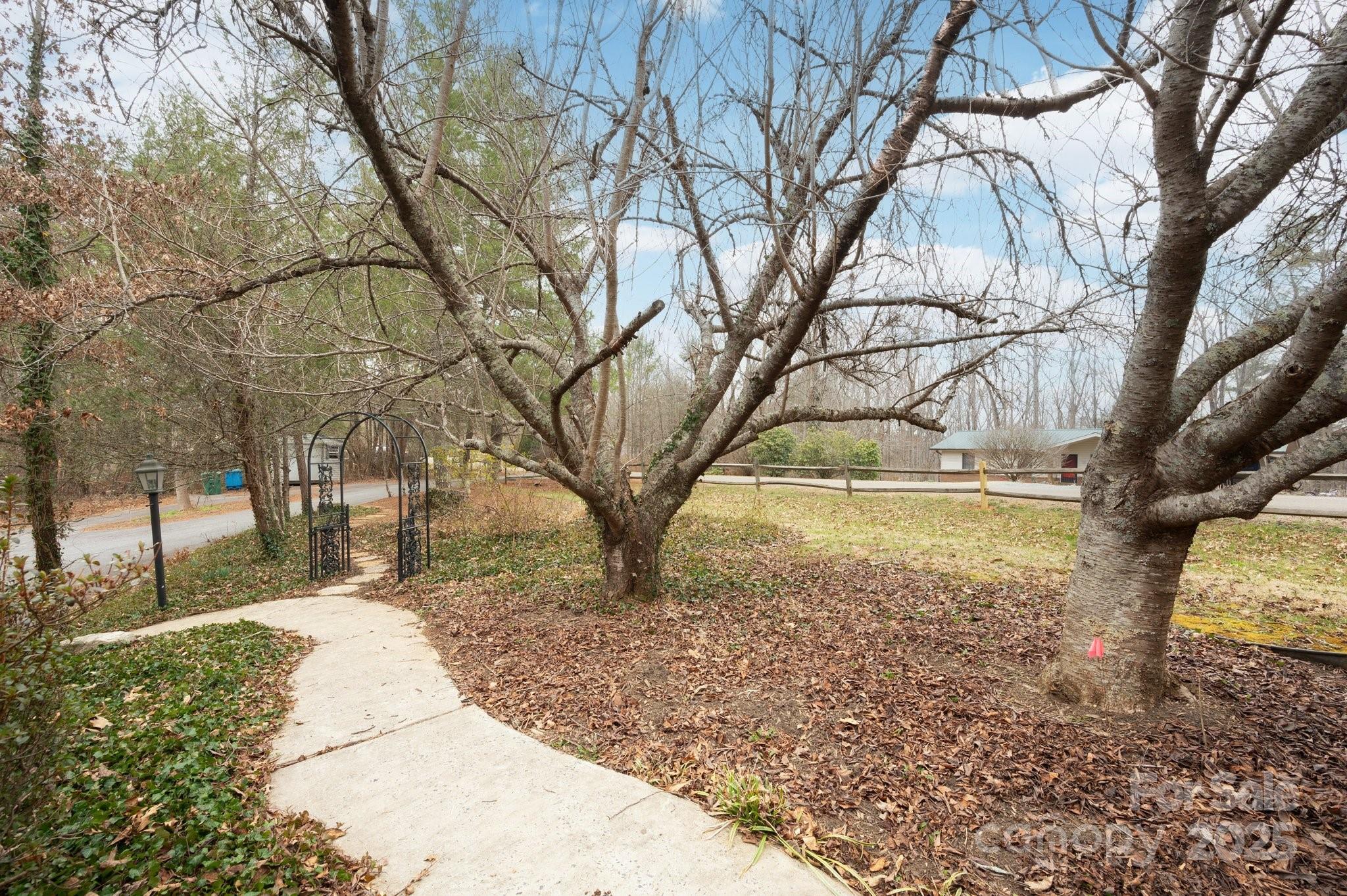 148 Pinecrest Drive Alexander, NC 28701 - Photo 5 of 31 a view of yard with tree in the background