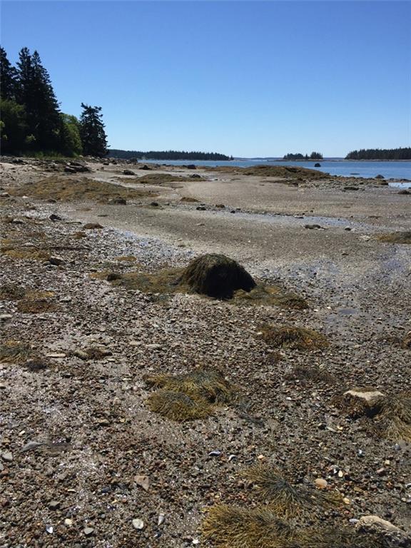 Map 3-lot Map 3-lot Kelley Point Road Brooklin, ME 04616 - Photo 22 of 31 Photo