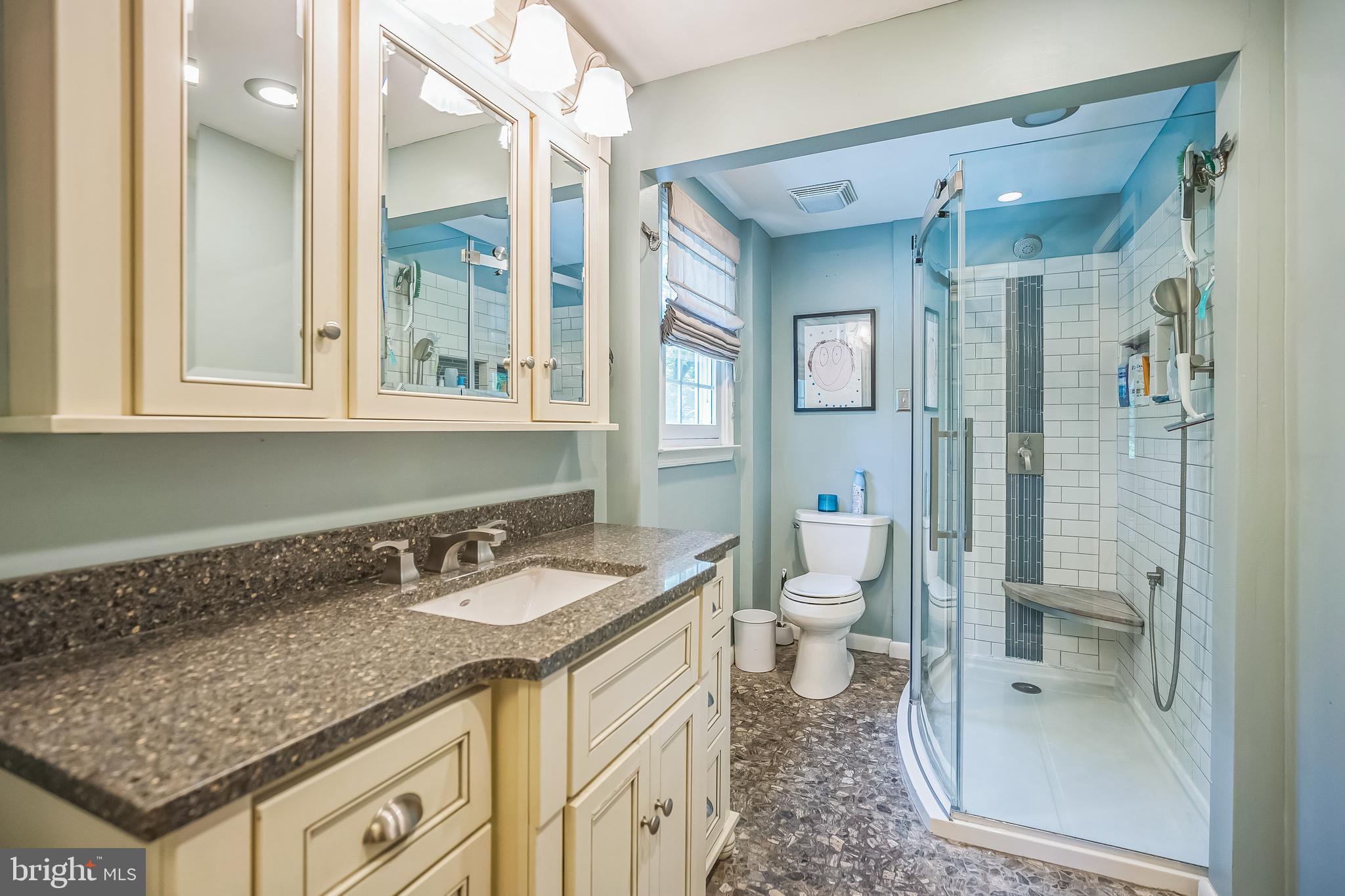 1737 Holmes Road Ambler, PA 19002 - Photo 20 of 40 Primary Bathroom