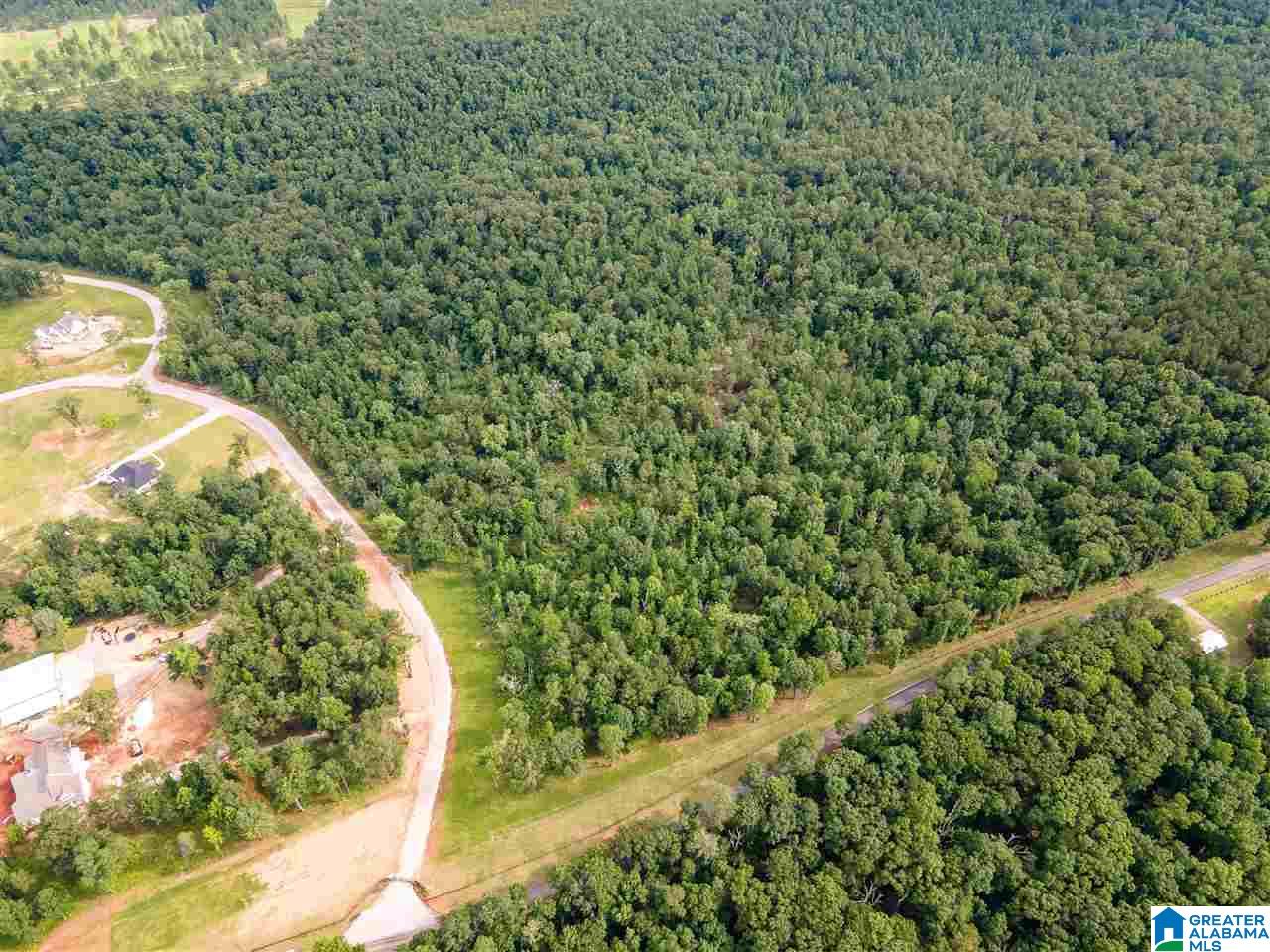 242 Spring Water Farms, Unit 1 Helena, AL 35022 - Photo 8 of 8