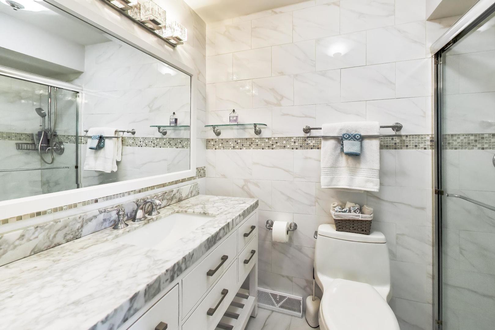 313 South Hi Lusi Avenue Mount Prospect, IL 60056 - Photo 16 of 40 a bathroom with a granite countertop sink a large mirror and a toilet