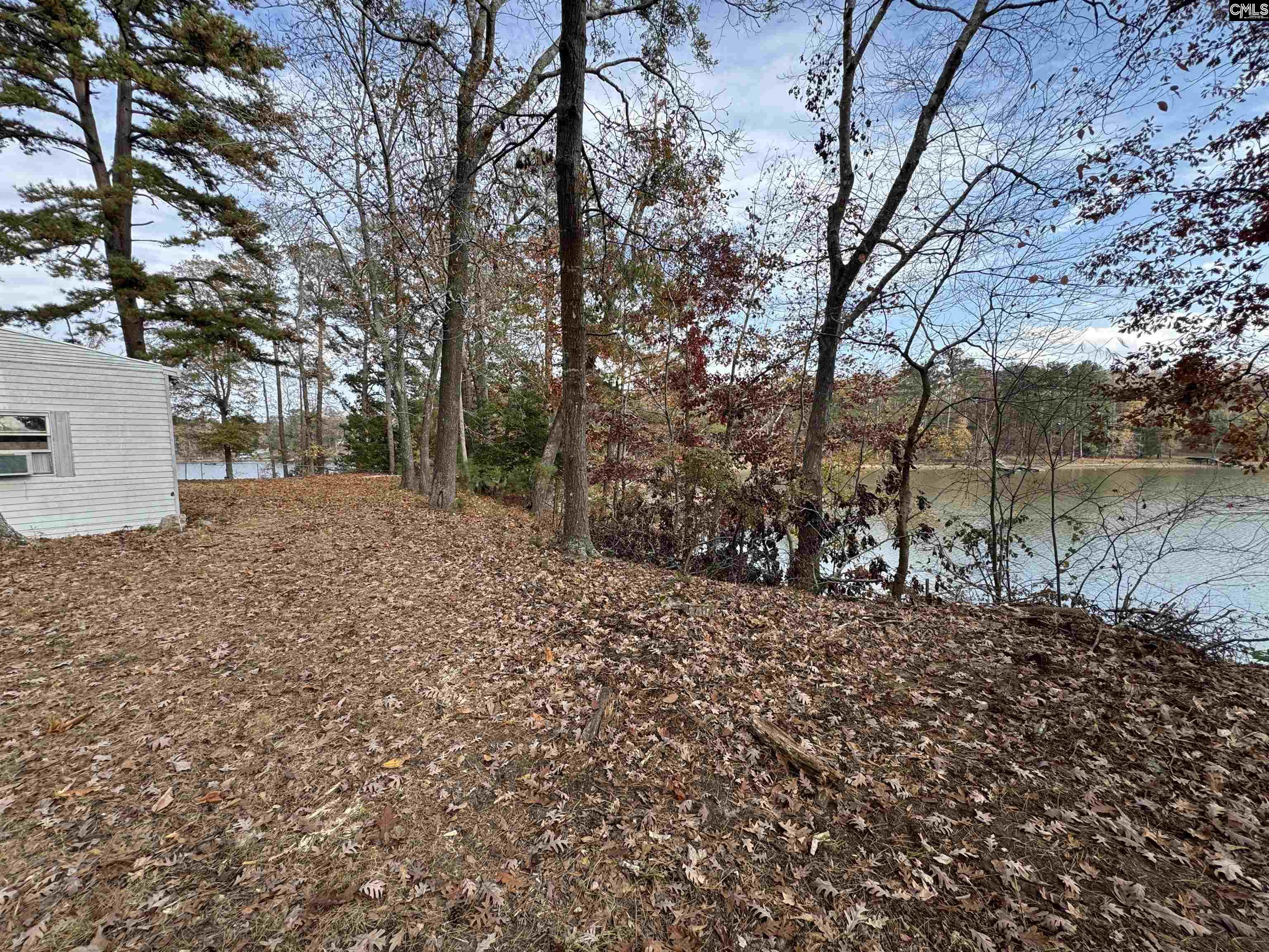 1403 Westshore Drive Ridgeway, SC 29130 - Photo 5 of 21