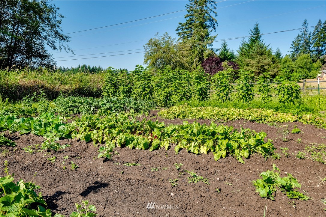 14113 Madrona Road Southwest Port Orchard, WA 98367 - Photo 37 of 40 Gallery Image 37