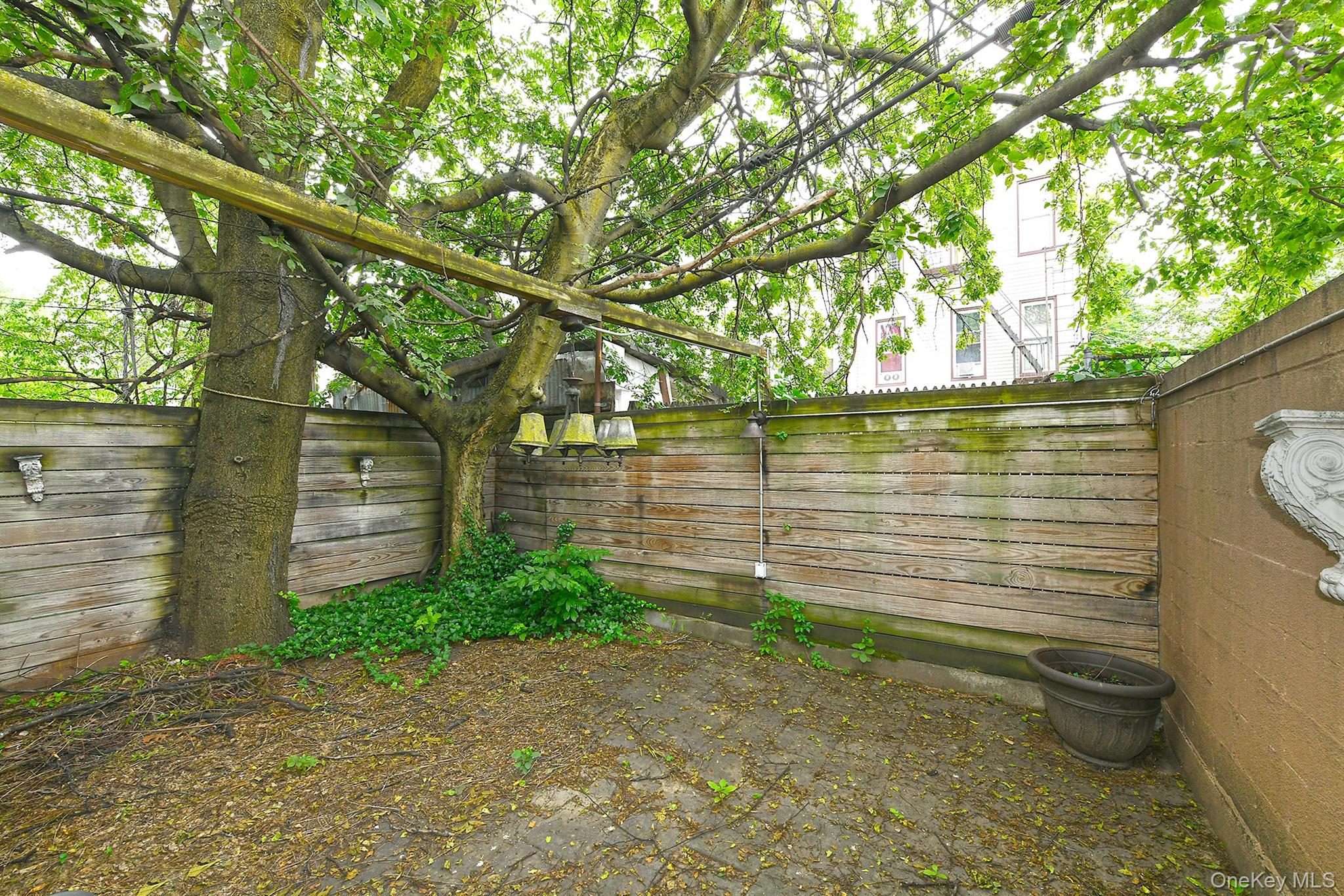 1244 Jefferson Avenue Brooklyn, NY 11221 - Photo 18 of 21 a pathway of a house with large trees