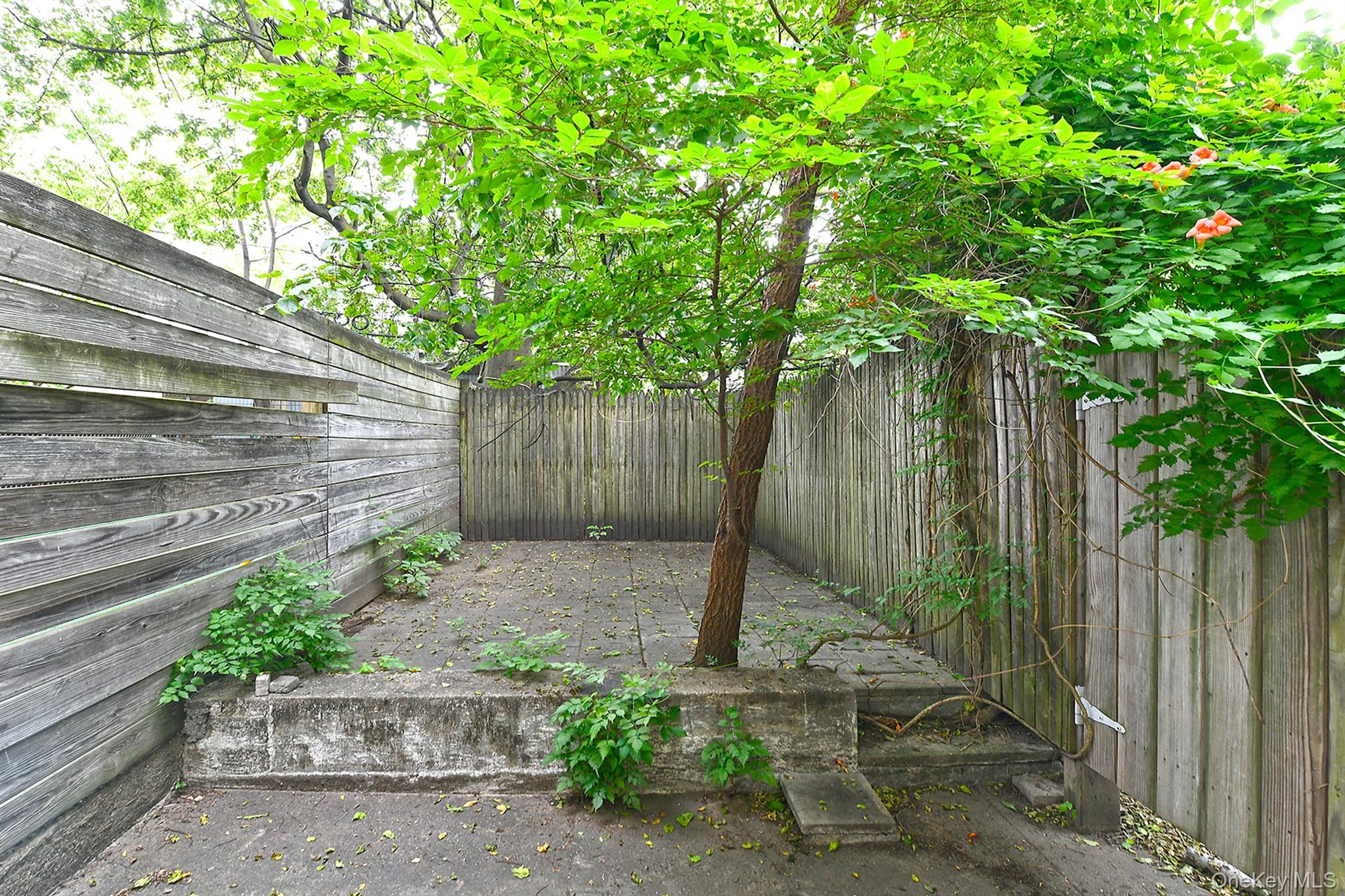 1244 Jefferson Avenue Brooklyn, NY 11221 - Photo 21 of 21 a view of a backyard with a tree