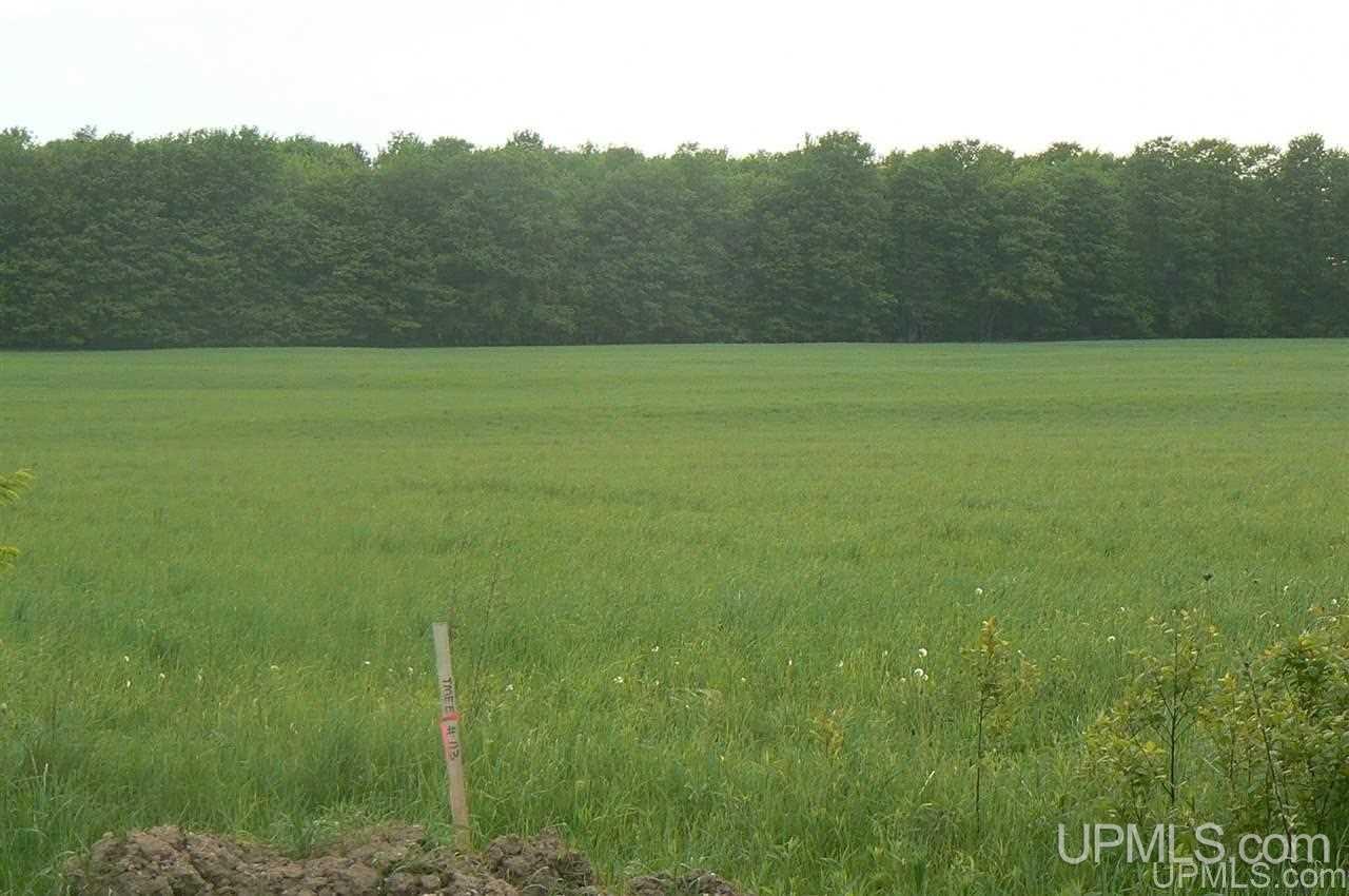 30 Acres Road Eben Junction, MI 49825 - Photo 1 of 3