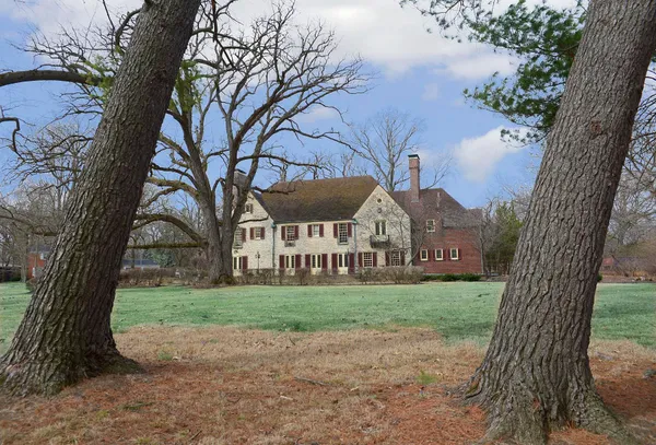 a view of a large trees with a tree in front of the house