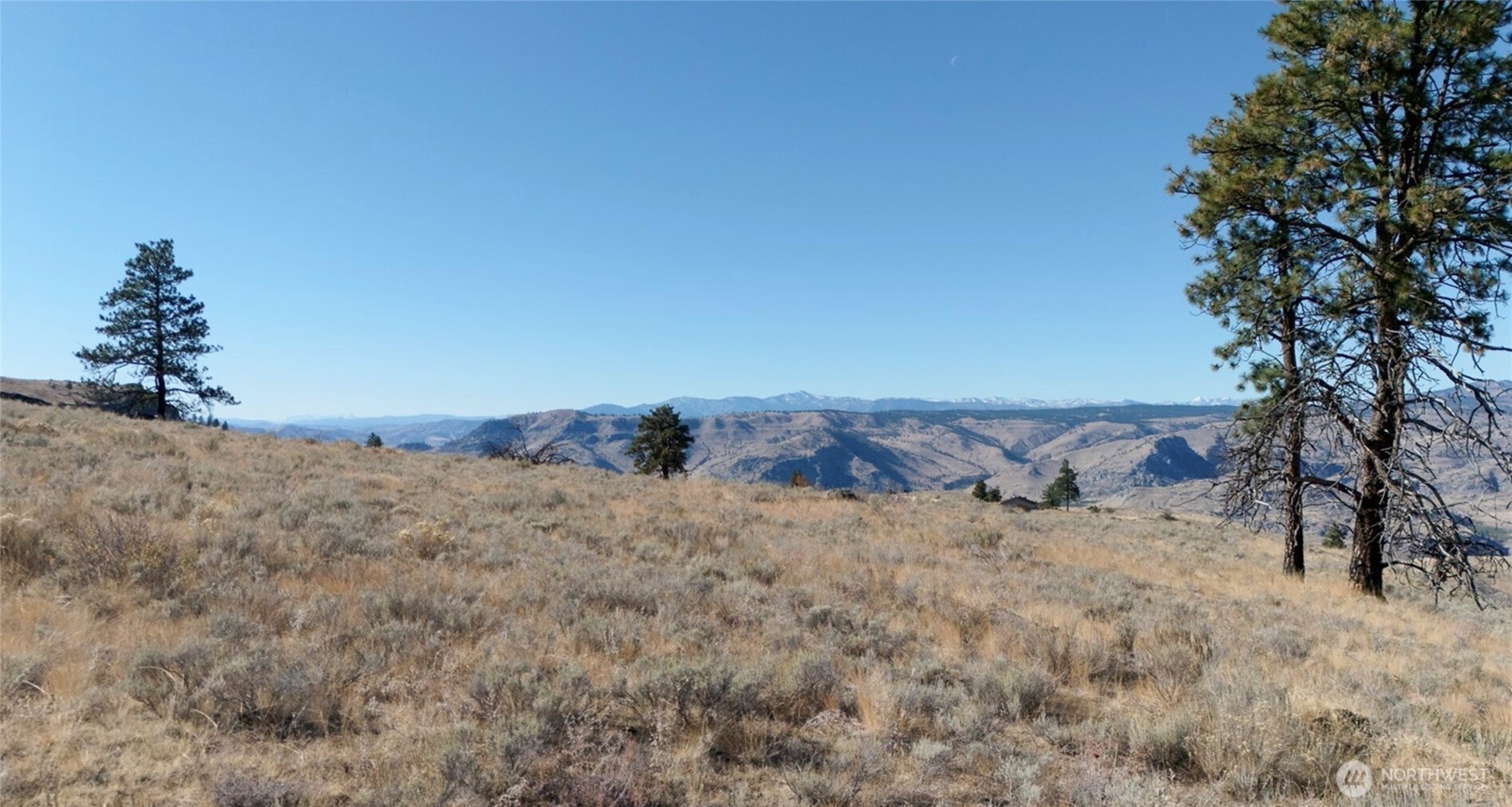 54 Wolf Holler Road Waterville, WA 98858 - Photo 10 of 14
