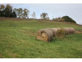 Lot 2-tbd Clear Springs Road, Unit 2 Limestone, TN 37681 - Photo 13 of 23 Photo 14