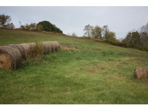 Lot 2-tbd Clear Springs Road, Unit 2 Limestone, TN 37681 - Photo 15 of 23 Photo 16