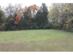Lot 2-tbd Clear Springs Road, Unit 2 Limestone, TN 37681 - Photo 16 of 23 Photo 17